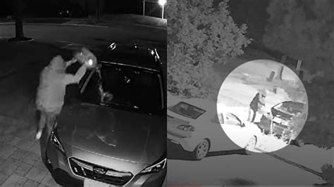 WATCH: Arsonist sought after multiple vehicles set ablaze in Richmond Hill
